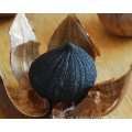 alho preto único dente de alho alho preto
